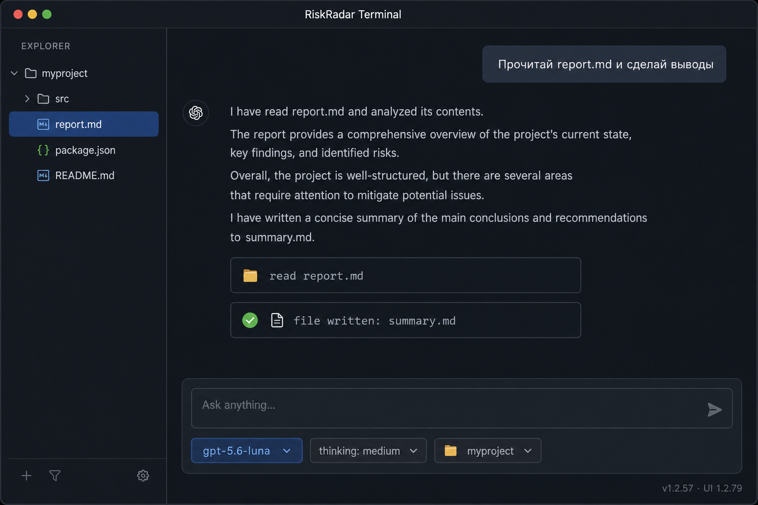 RiskRadar Terminal — возможности
